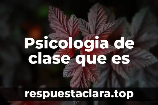Que es un número de clase 8 Psicologia de clase que es