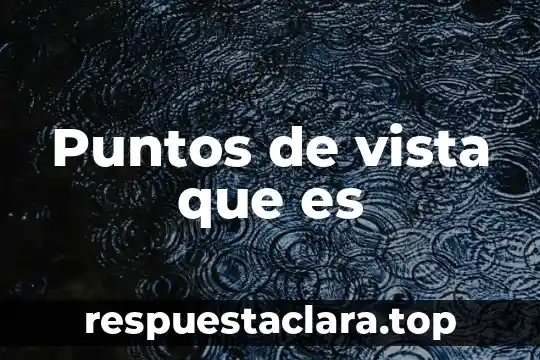 Puntos de vista que es