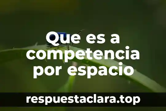 Que es la competencia general del razonamiento 8 Que es a competencia por espacio