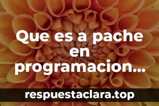 Que es a pache en programacion web
