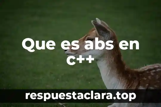 Que es abs en c++
