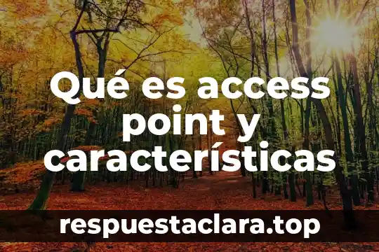Qué es access point y características