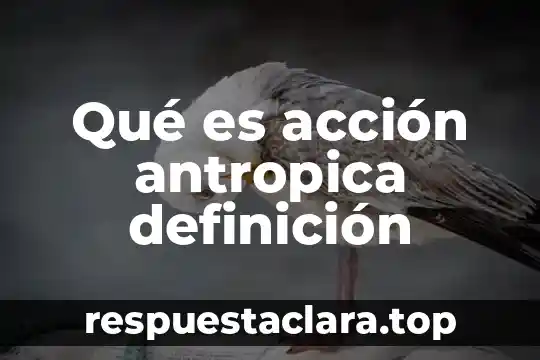 Qué es acción antropica definición