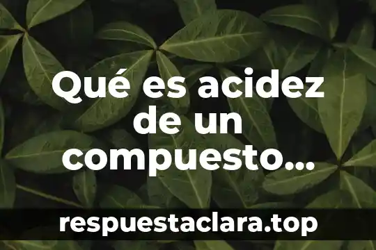 Que es una carta responsiva de compra venta 3 Qué es acidez de un compuesto orgánico