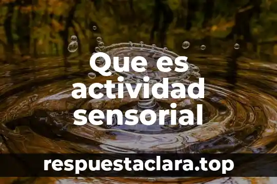 Que es actividad sensorial