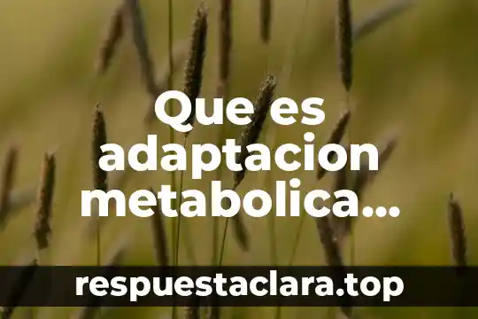 Que es el cancer de mama todo lo relacionado 3 Que es adaptacion metabolica relacionado con la nutricion