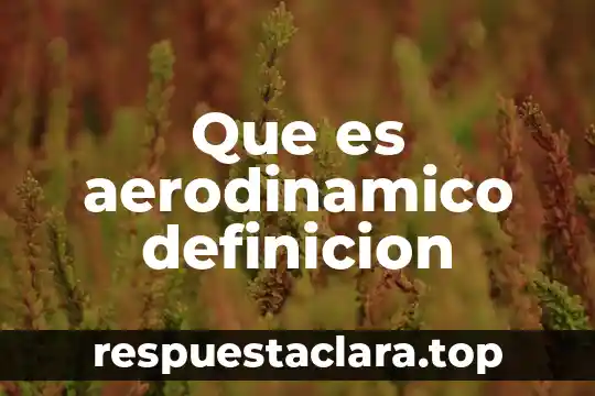 Que es aerodinamico definicion
