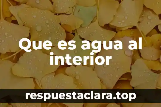 Que es agua al interior