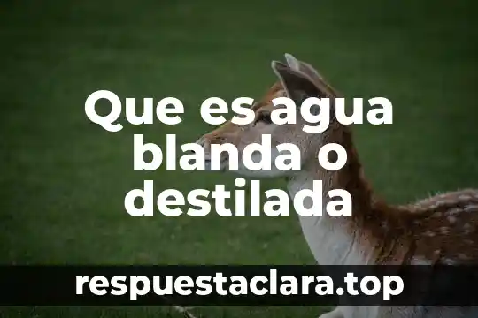Que es texto de relato 5 Que es agua blanda o destilada