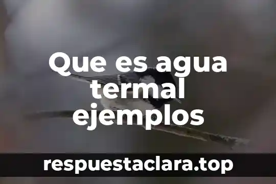 Que significa que es bajarse al agua 6 Que es agua termal ejemplos