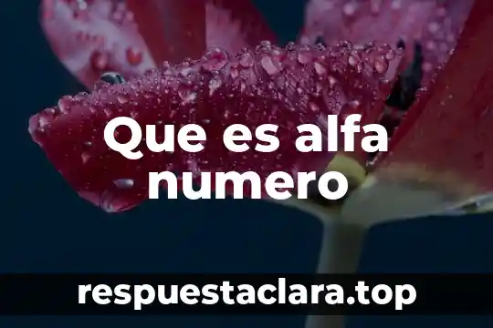 Que es alfa numero