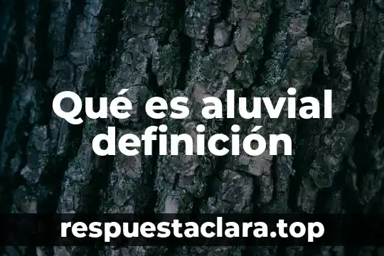 Qué es aluvial definición