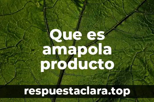 Que es un nombre en un producto 5 Que es amapola producto