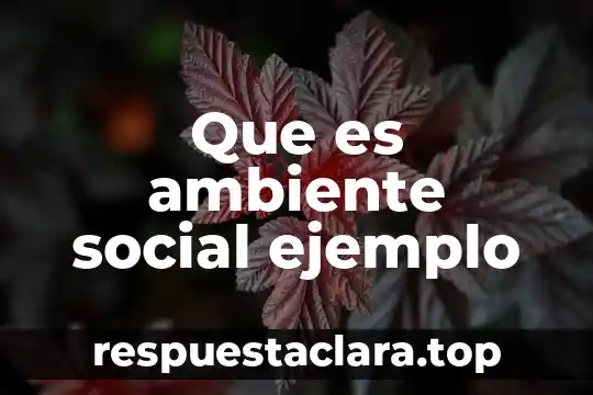 Que es ambiente social ejemplo