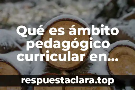 Qué es ámbito pedagógico curricular en primaria
