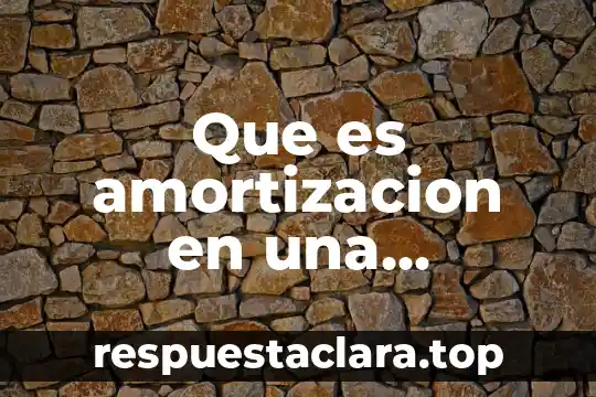 Que es amortizacion en una solicitud de credito