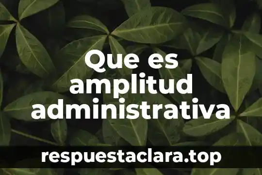 Que es amplitud administrativa