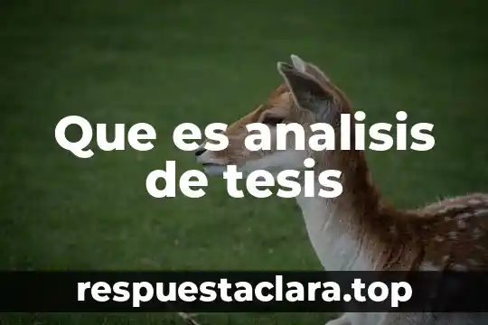 Que es analisis de tesis