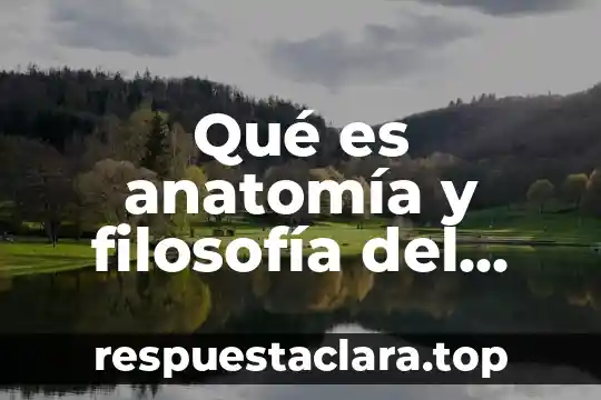 Qué es anatomía y filosofía del sistema cardiovascular