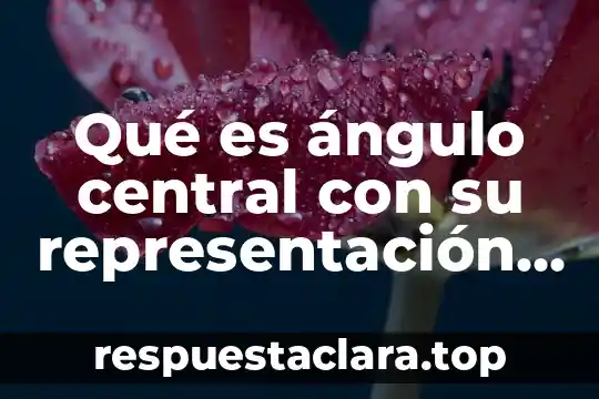 Qué es ángulo central con su representación gráfica