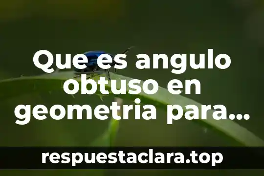 Que es angulo obtuso en geometria para niños