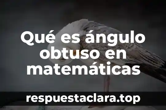 Qué es ángulo obtuso en matemáticas