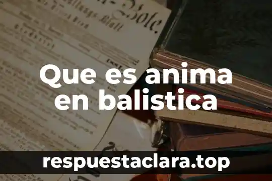 Que es anticipo de impuestos en contabilidad 6 Que es anima en balistica