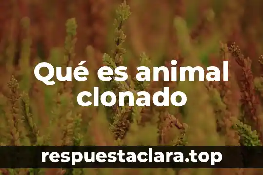 Qué es animal clonado