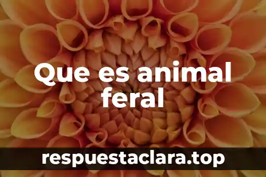 Que es animal feral