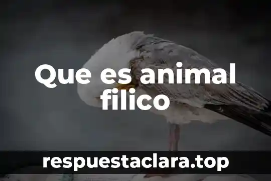 Que es animal filico