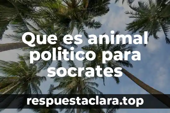 Que es un bobcat animal 7 Que es animal politico para socrates