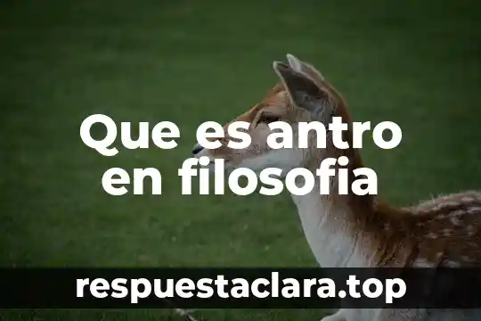 Que es la entrevista no estructurada 6 Que es antro en filosofia