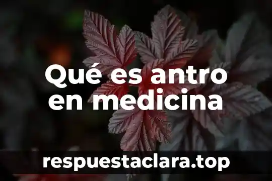 Qué es antro en medicina