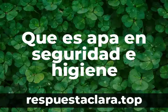 Que es apa en seguridad e higiene