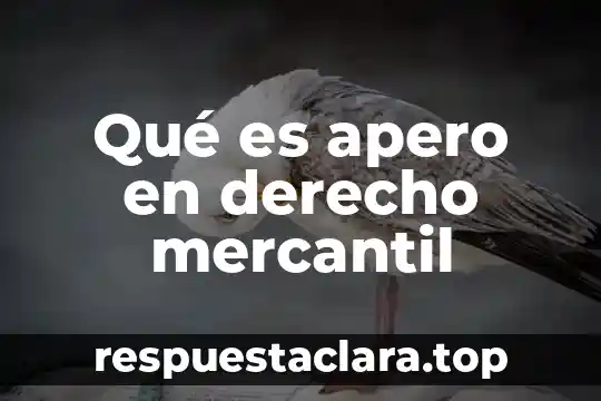 Qué es apero en derecho mercantil