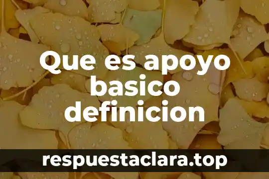 Que es apoyo basico definicion