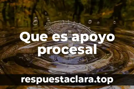 Que es apoyo procesal