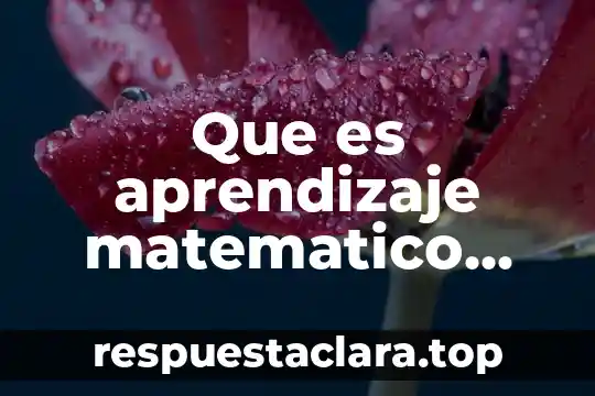 Que es aprendizaje matematico para la sep