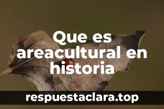Que es la cronologia de la historia de la salvacion 6 Que es areacultural en historia