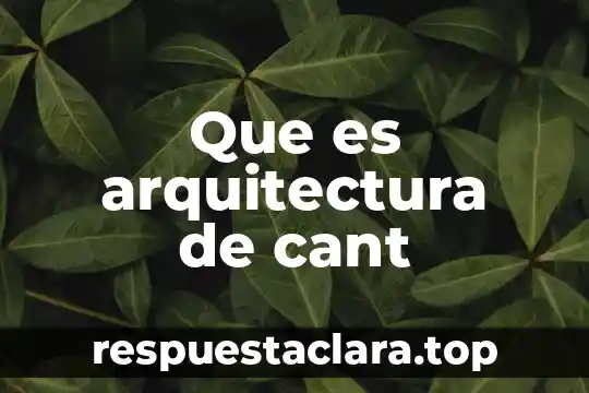 Que es arquitectura de cant