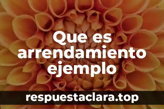 Que es un argumento un ejemplo 5 Que es arrendamiento ejemplo