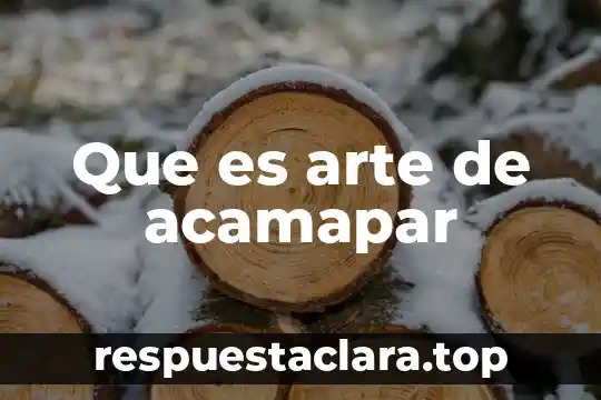 Que es arte de acamapar