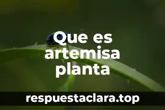 Que es artemisa planta