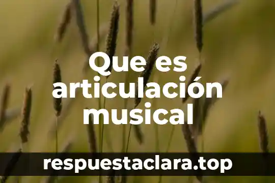 Intensidad musical que es significado y concepto 7 Que es articulación musical