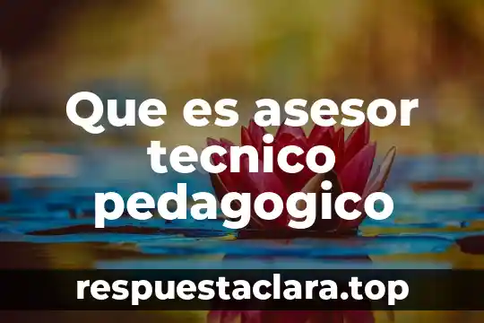 Que es asesor tecnico pedagogico