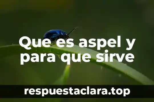 Que es aspel y para que sirve