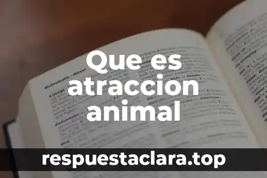 Que es el centro de reseteo en animal crossing 4 Que es atraccion animal