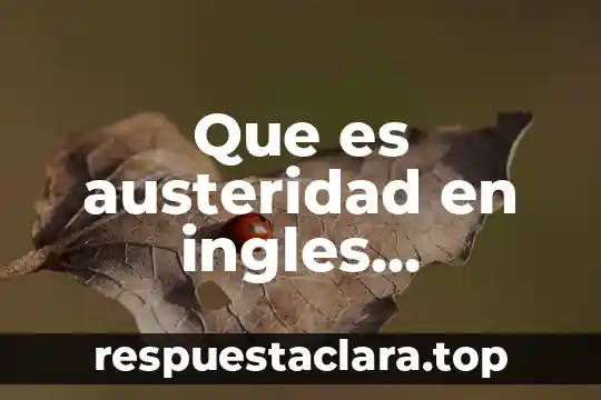 Qué es chascona significado 3 Que es austeridad en ingles significado