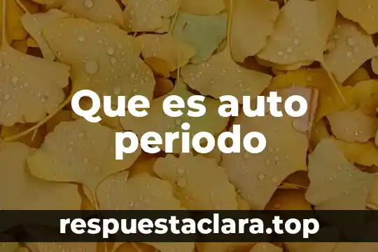 Por que es importante el periodo prefilosofico 6 Que es auto periodo