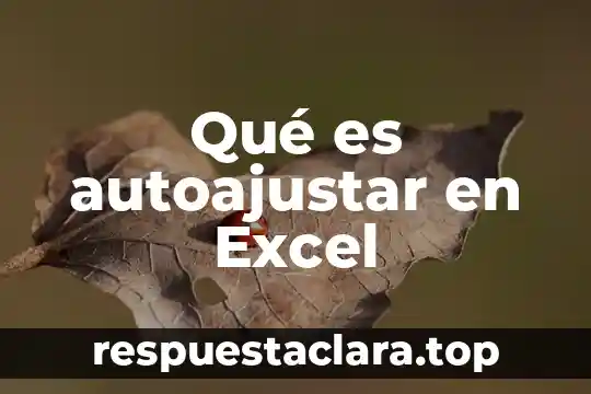 Que es una representación absoluta en excel 6 Qué es autoajustar en Excel